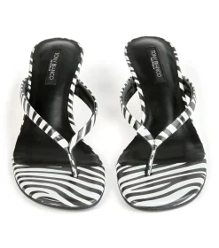 Edgy Zebra