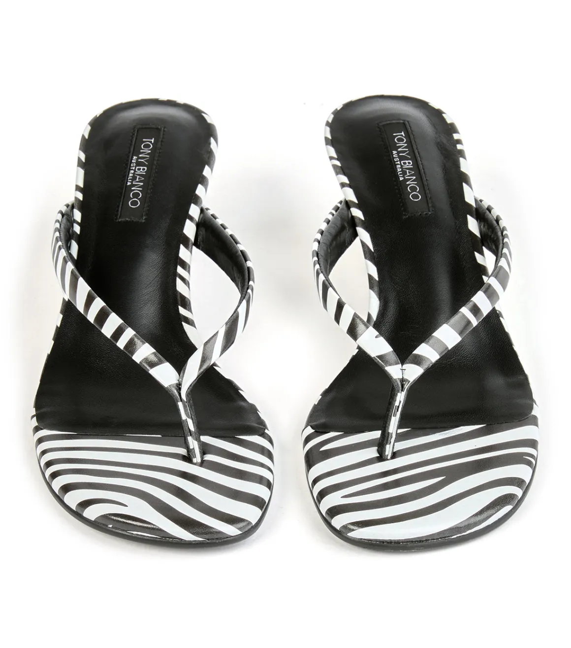 Edgy Zebra