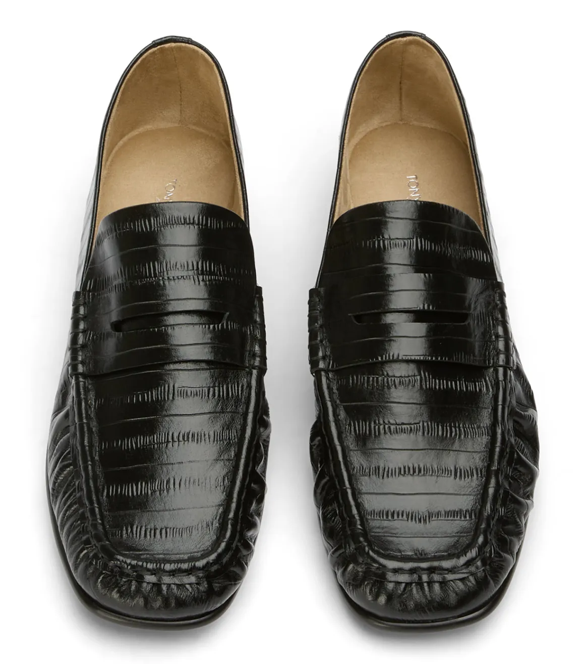Gomez Black Anguille